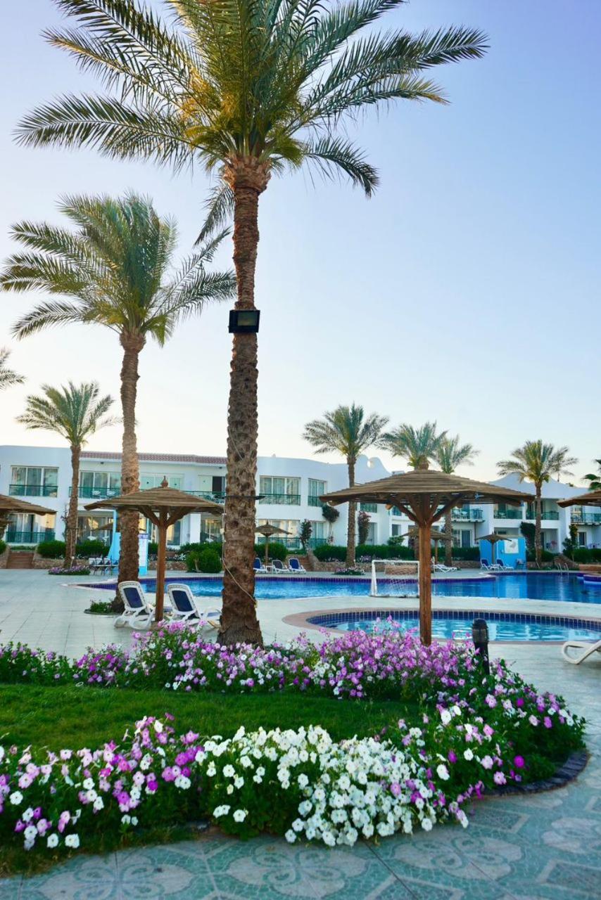 Panorama Naama Heights Hotel Sharm-el-Sheikh Buitenkant foto